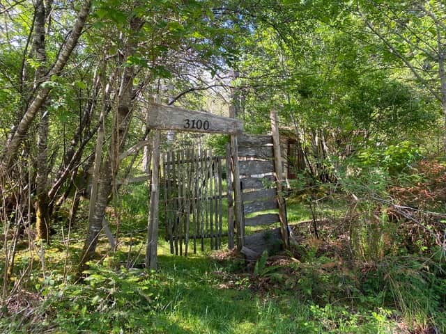 Front Gate and Yard