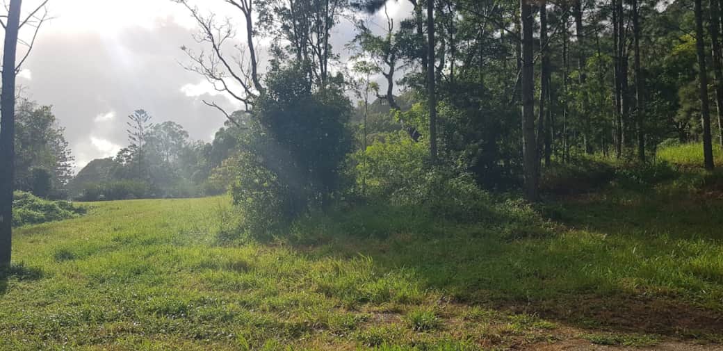 The paddock Shack perfectly nestled between rolling green paddocks and lush rainforest...