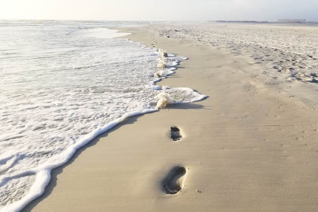 Take a Walk in the Sand Take a Walk in the Sand
