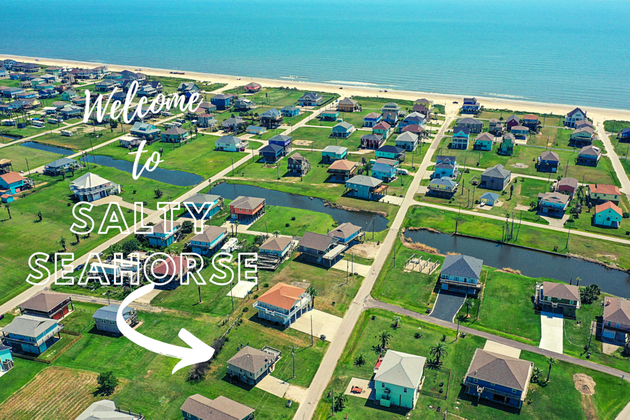 Welcome to the Salty Seahorse Studio!