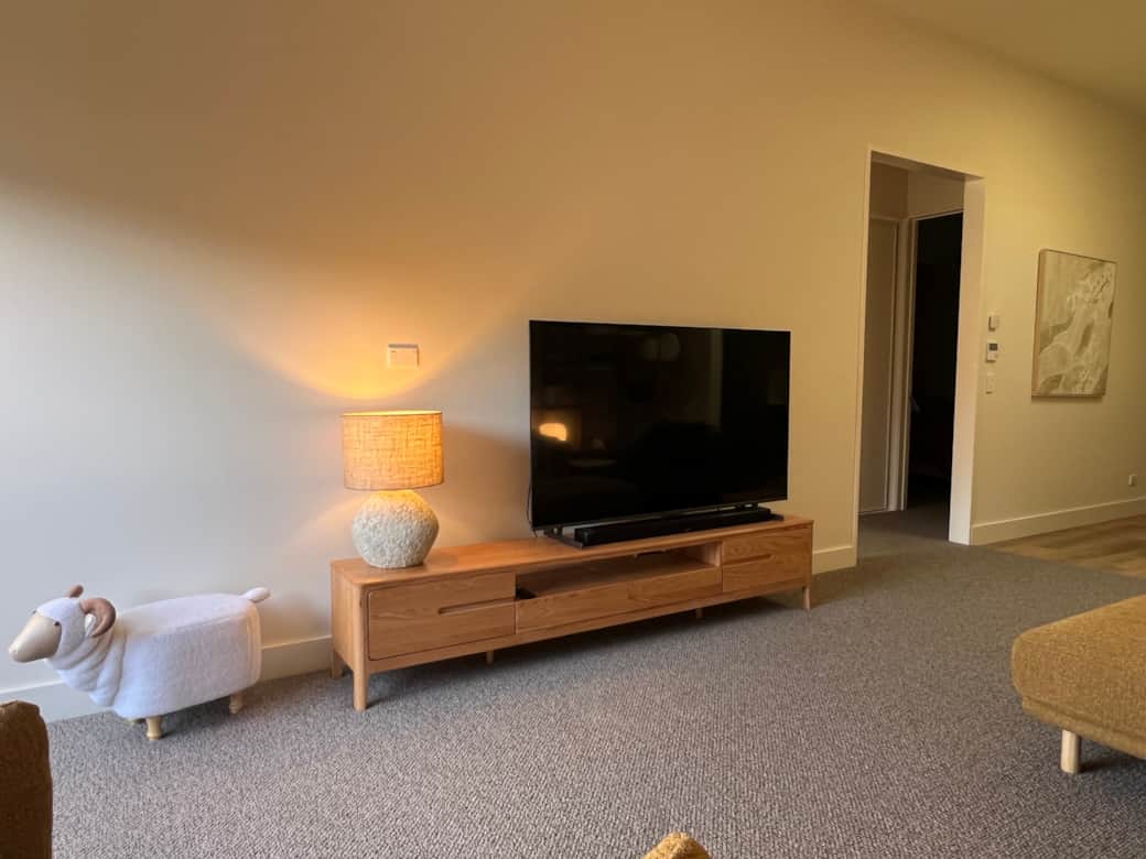 65" LED TV