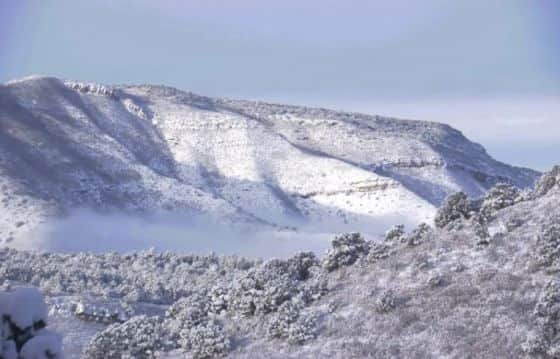 Winter wonderland!