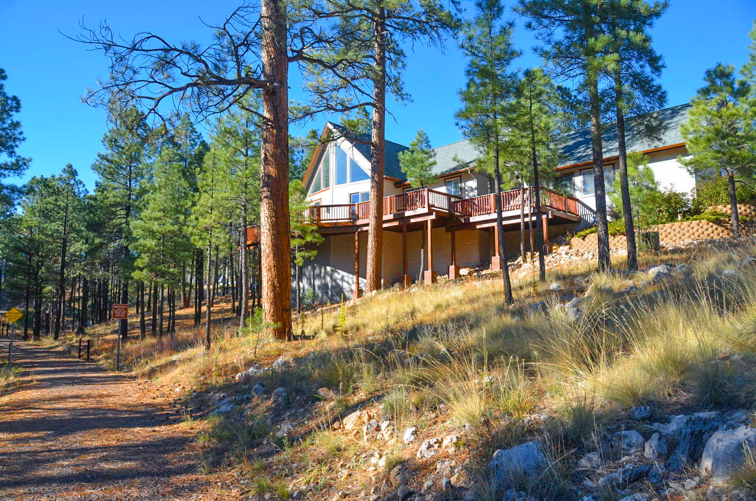 Holland Home -  Luxury home w/ Forest Views, AC & Hot Tub! 