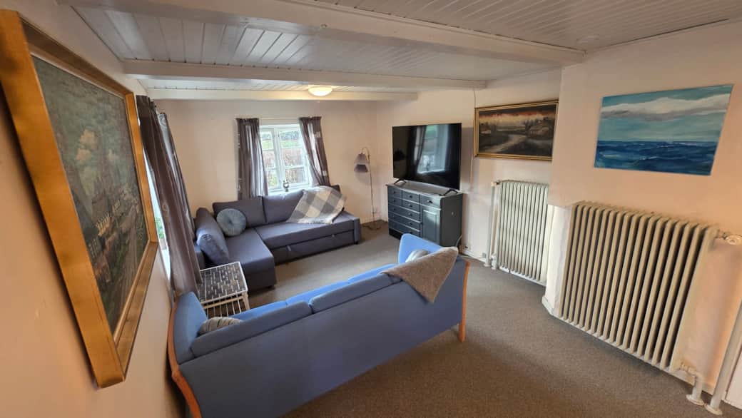 Living Room with Pull-Out Sofa Bed