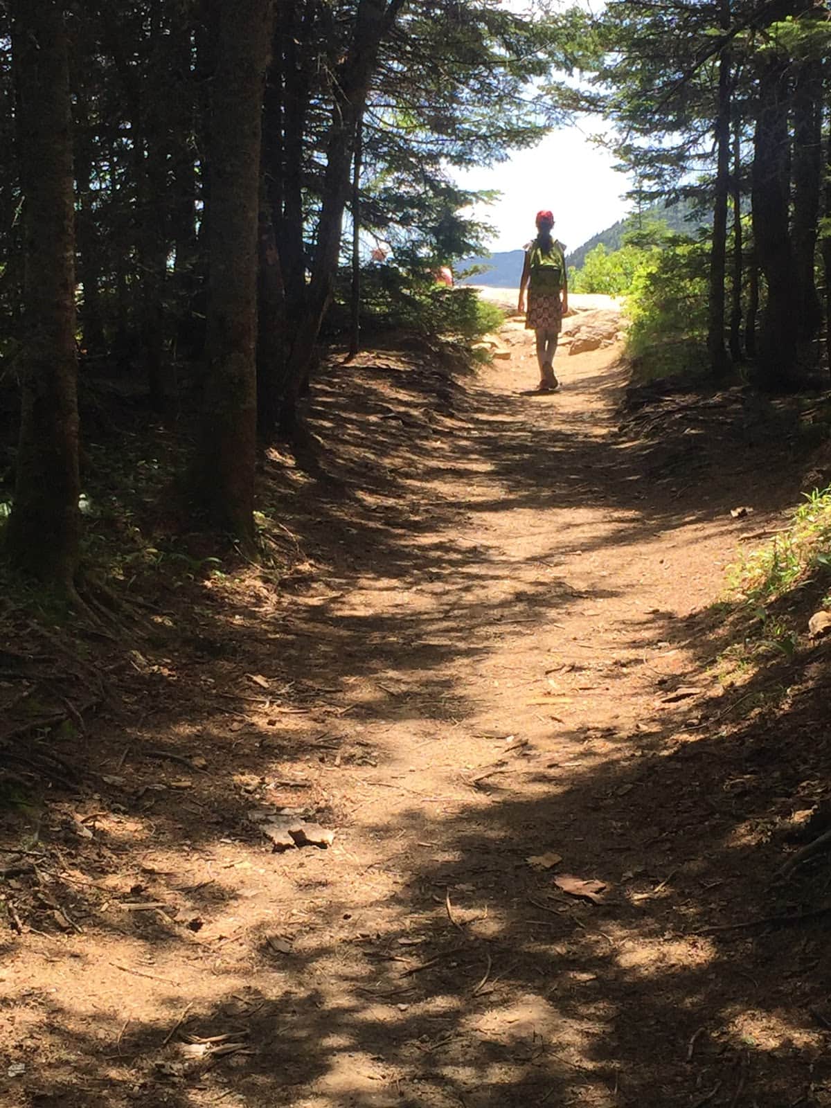 Mt Willard, Crawford Notch