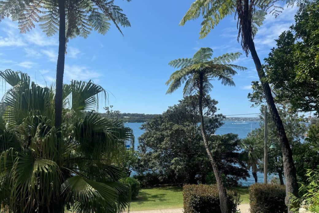 View from the patio. There's a track down to the shore to the left.