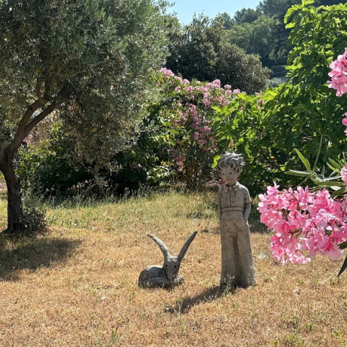Rêver avec le Petit Prince
