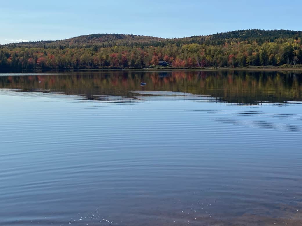 Fall RHL picture