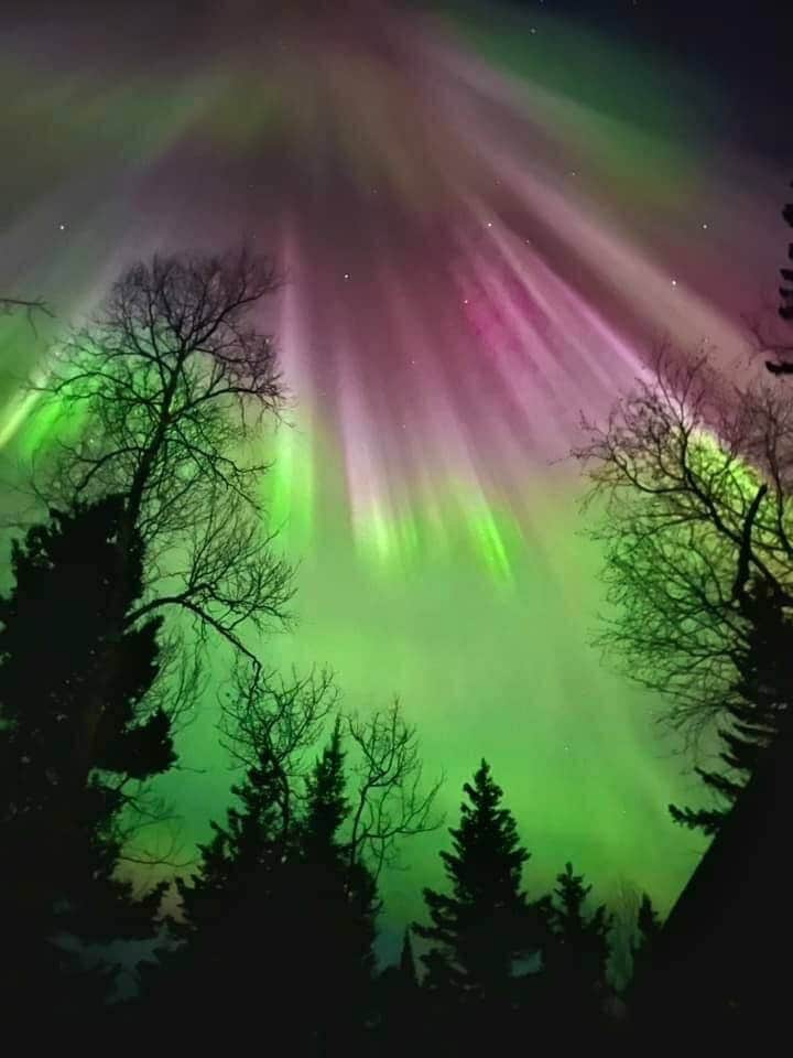 The Northern Lights