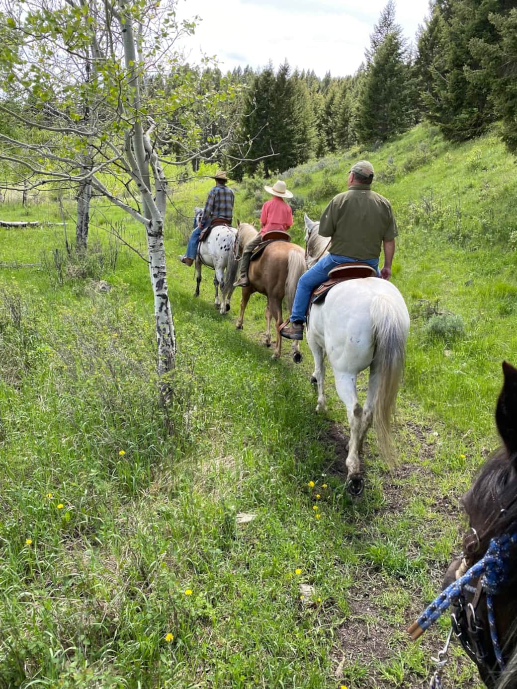 Horse back ride - book in advance! Horse back ride - book in advance!