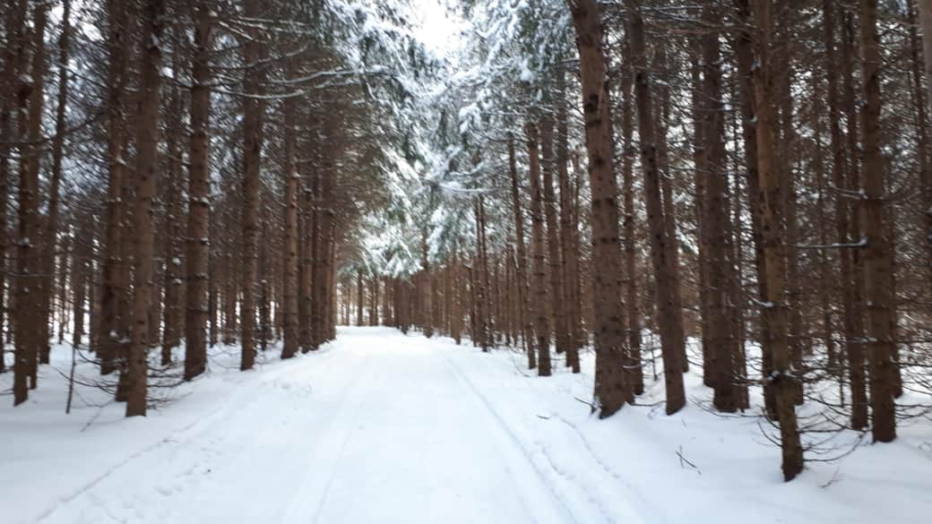 Chemin d'entrée Hiver 