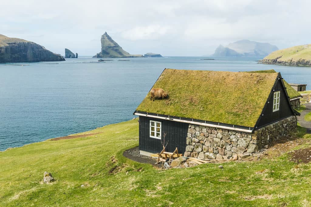 Outside with a view and sheep