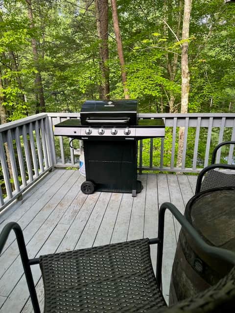 Propane Grill
