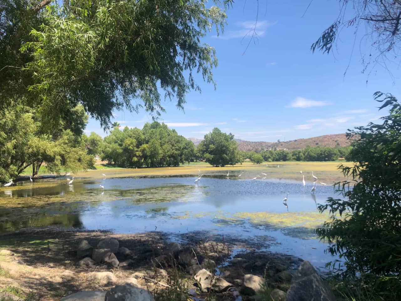 Birdwatcher's Paradise