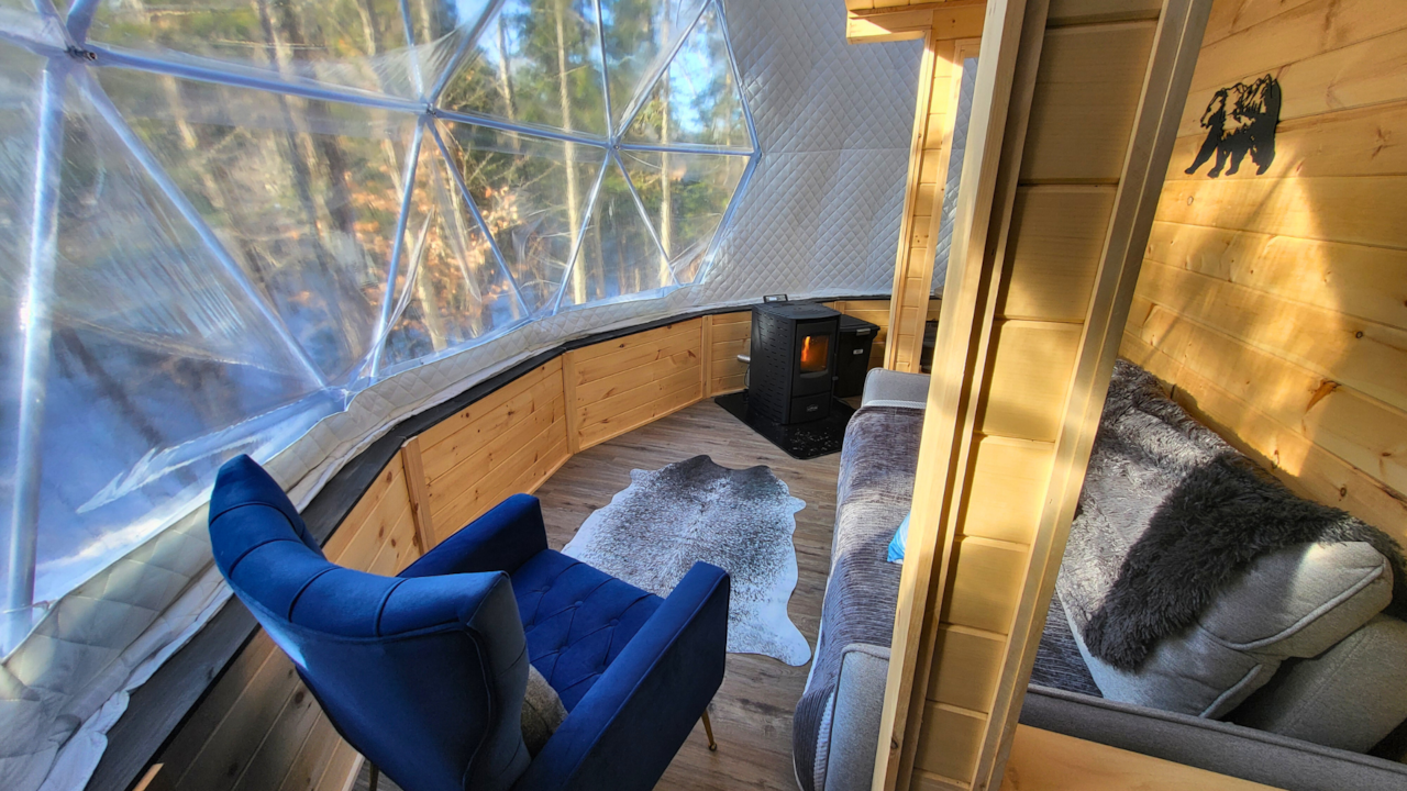 Salon - PETITE OURSE