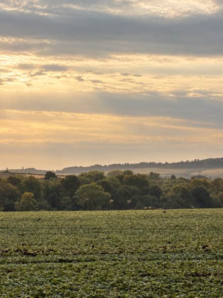 The Barn, countryside and nearby places