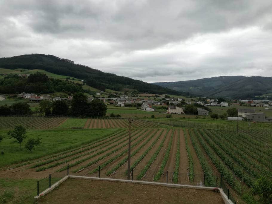 Views from one of the bedrooms