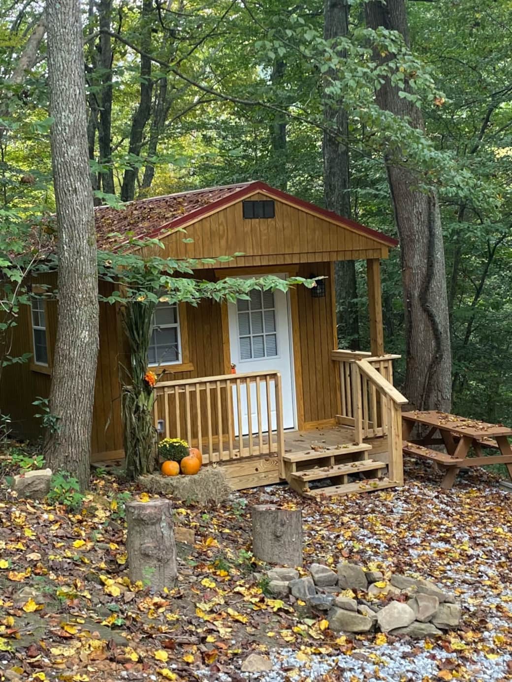 Cabin1 Fall Cabin1 Fall