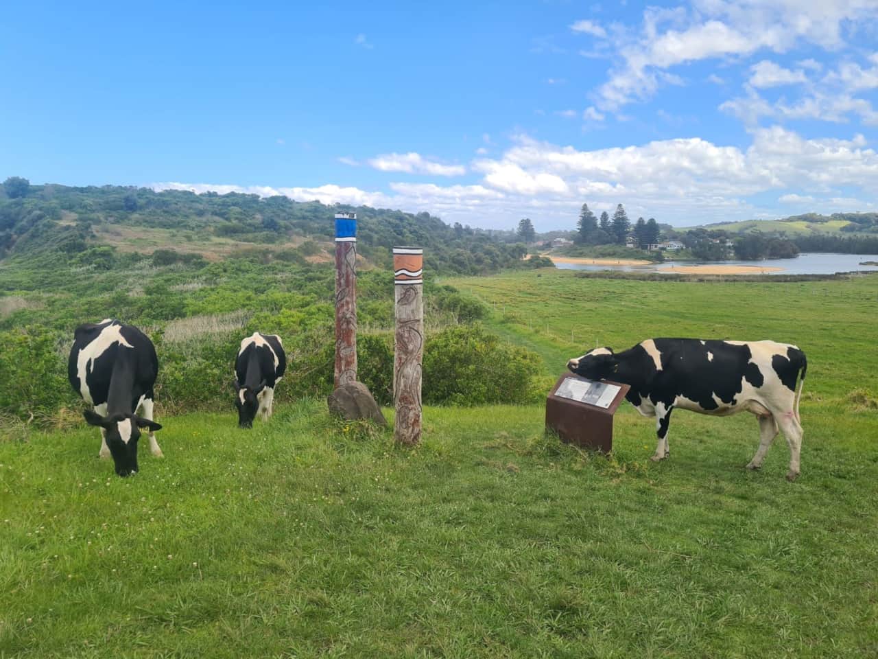 ≋ Where the countryside meets the sea. Follow the Kiama Coastal Walk towards Gerringong, where green farmland, grazing cows and dramatic ocean views unfold along the clifftops. It’s one of our favourite ways to experience the quieter beauty of the South Coast. 