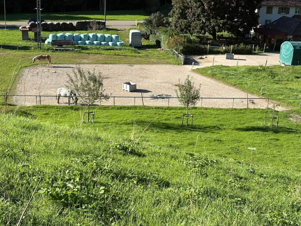 Reitplatz 500m