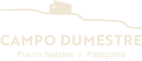 Campo Dumestre