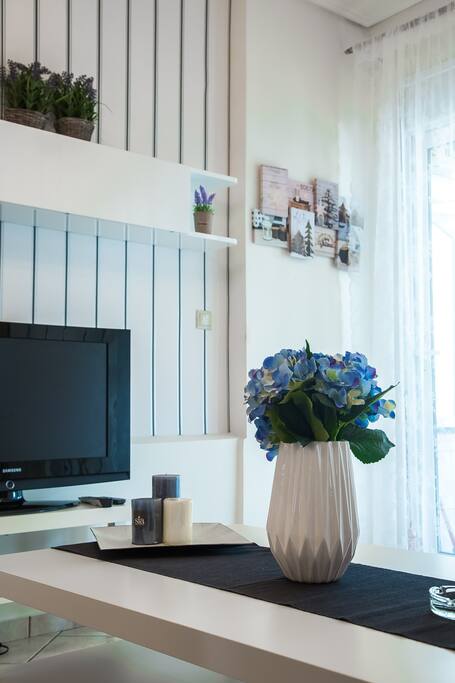 Luxury City Center Apartment