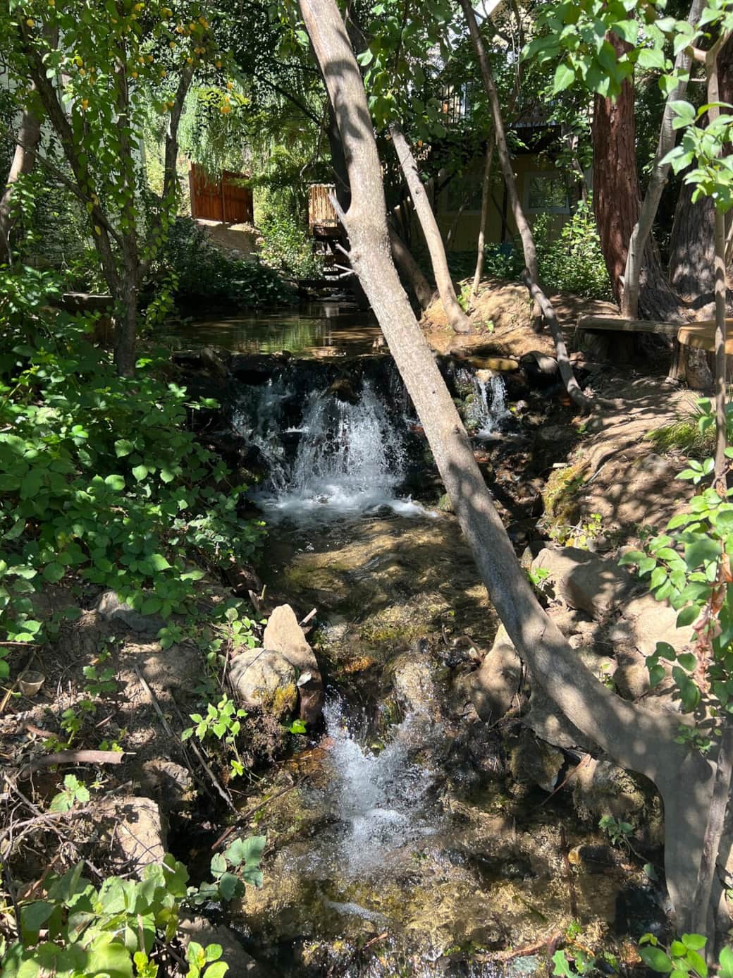A seasonal creek runs through the property, bringing soft sound and a sense of calm—especially after rain or snowmelt. It's quiet now, but still adds a touch of nature's rhythm to your stay.