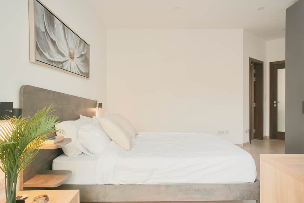 Master bedroom w/ Ensuite bathroom