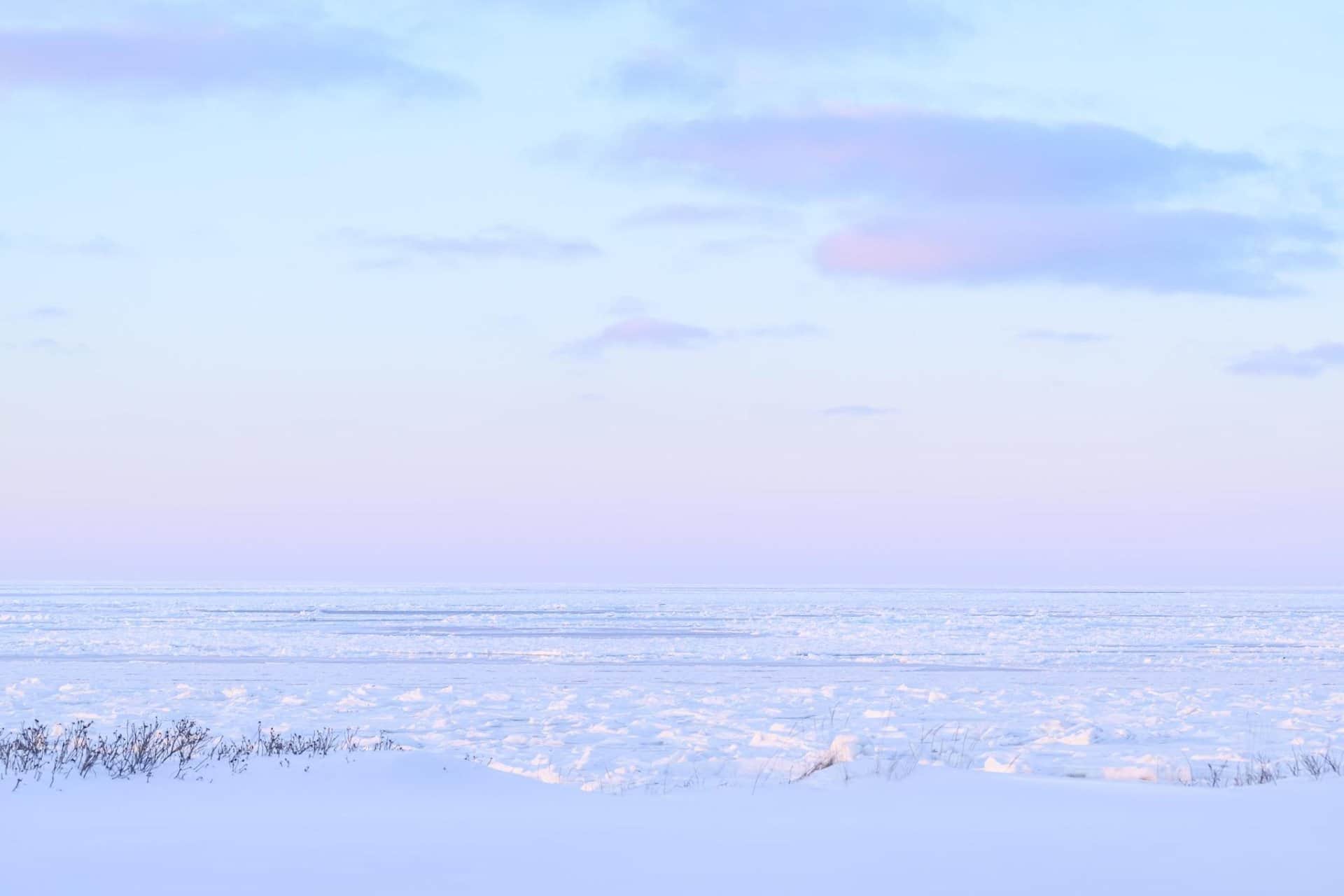 https://l.icdbcdn.com/oh/d998311b-aef0-4063-90ad-2bfebed26fef.jpg?w=2080-10