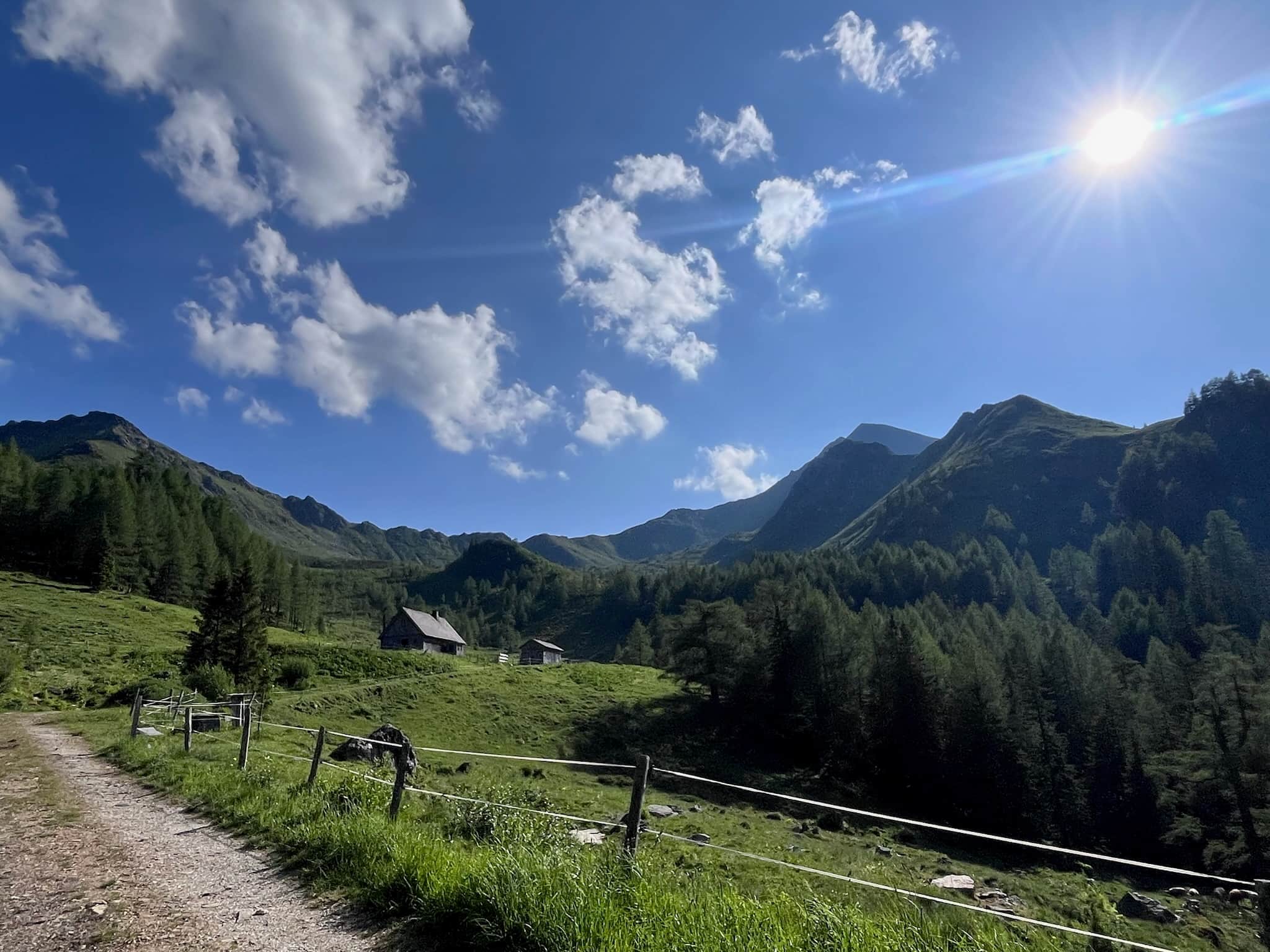 Pölsenhütte (1h Wanderung vom Almhaus)