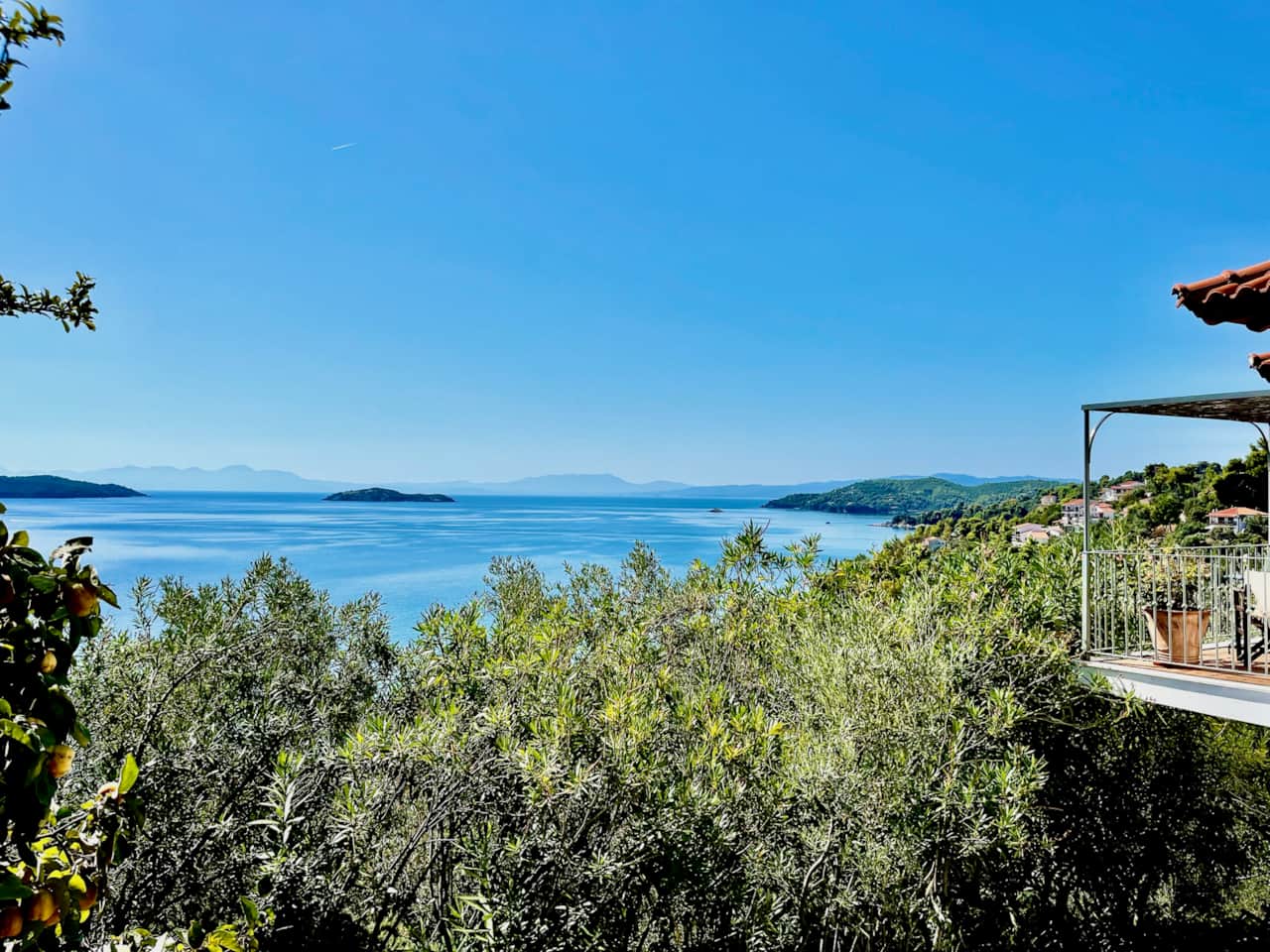 View from Studio 7