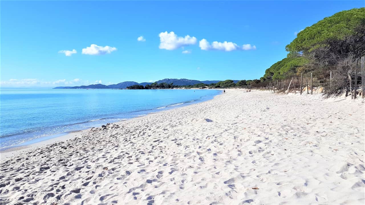 La spiaggia di Palombaggia.