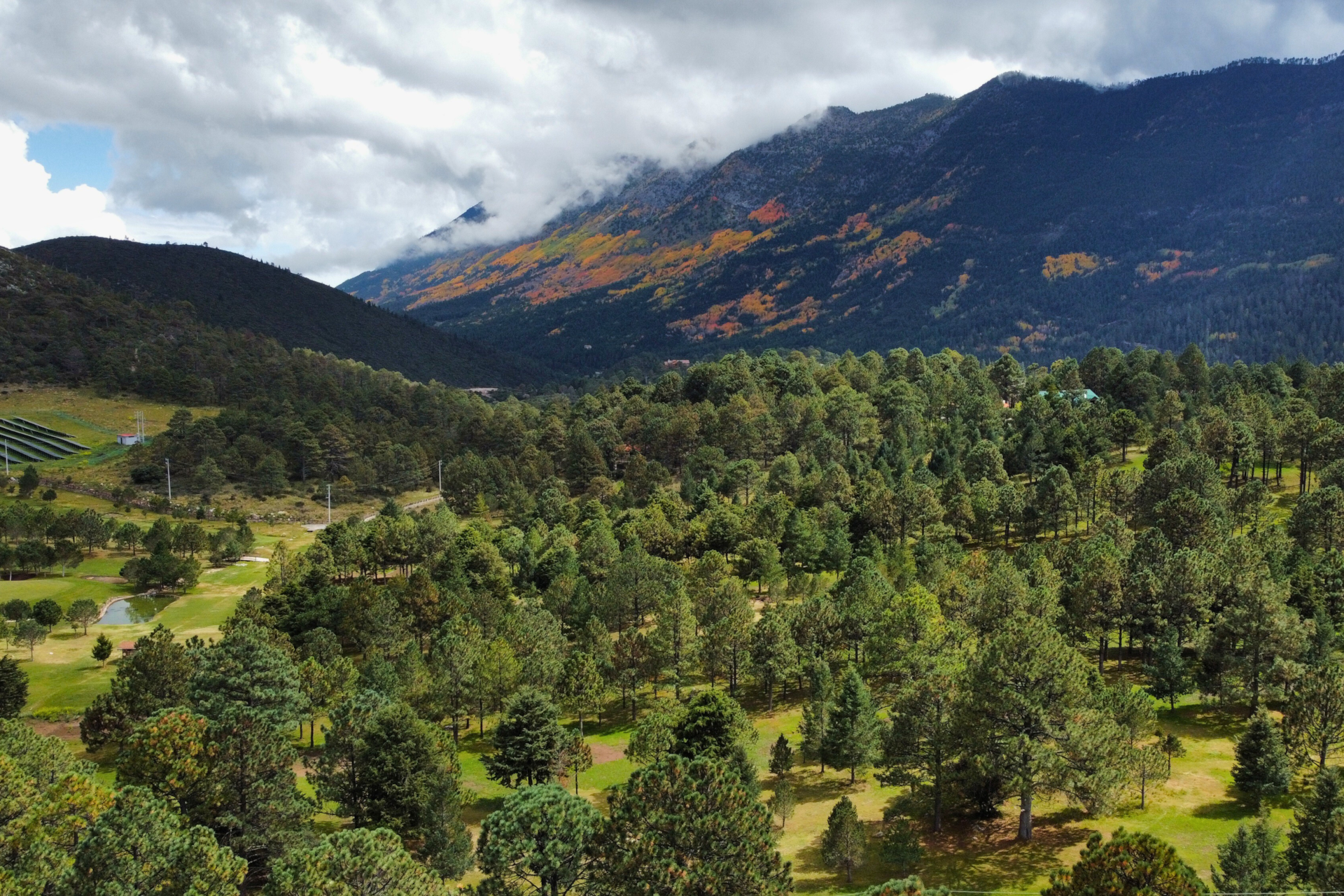 Bosques y montañas en Arteaga, Coahuila