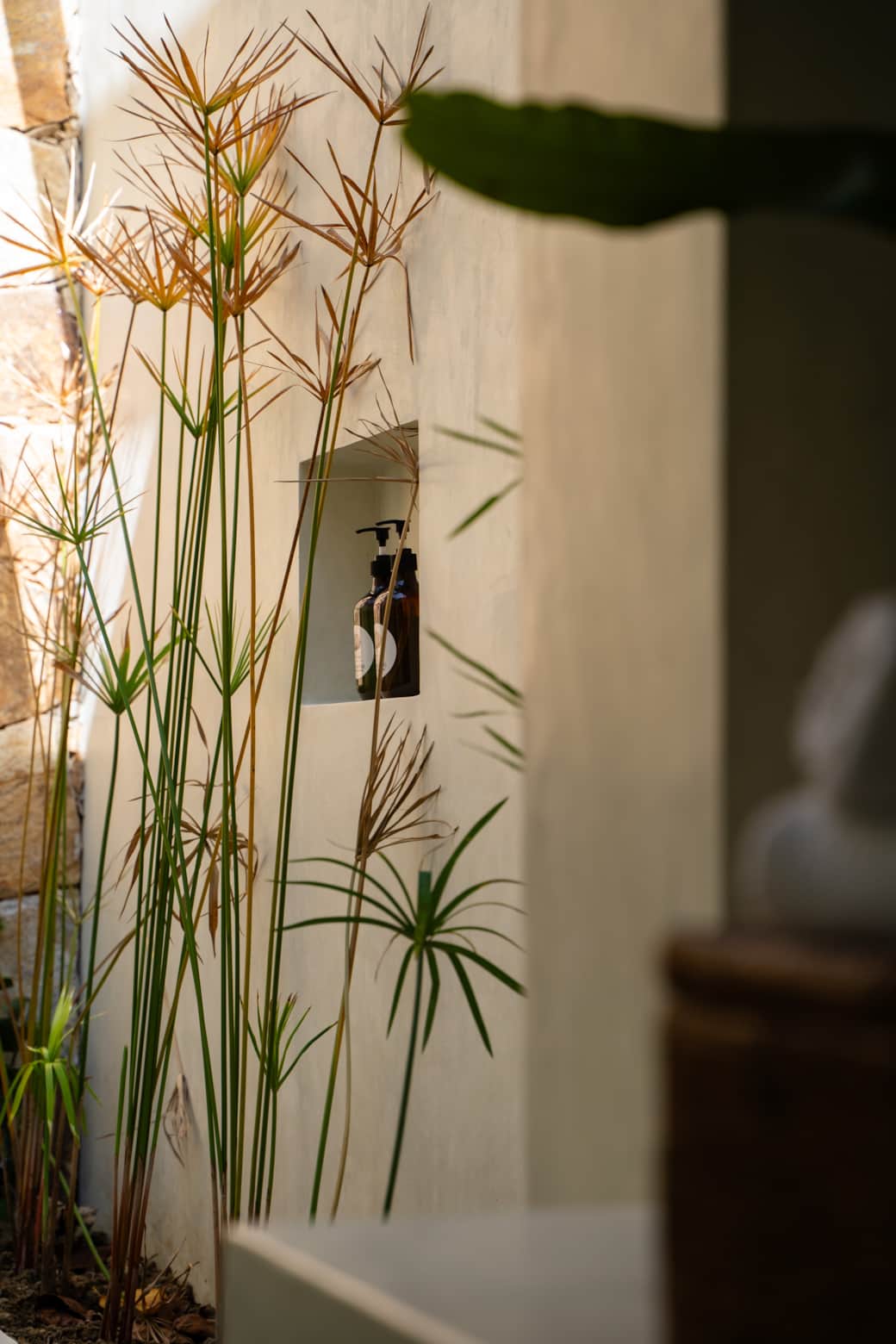 Plants wrap the shower. You bathe inside the garden.