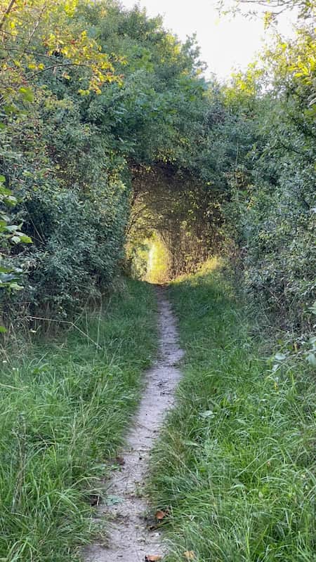 Steigerwald-Trails Steigerwald-Trails