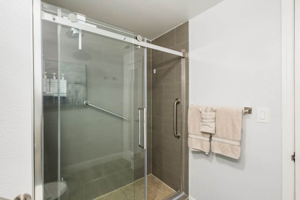 shower with accessible rails