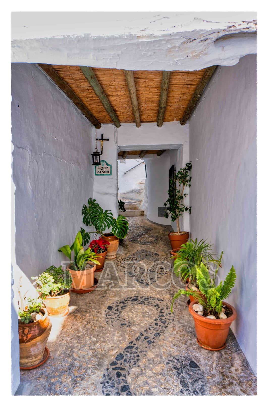 CALLE FRIGILIANA