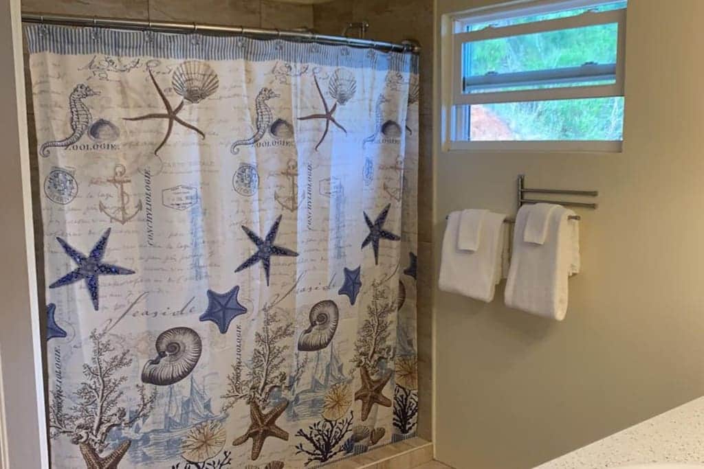 Master Shower