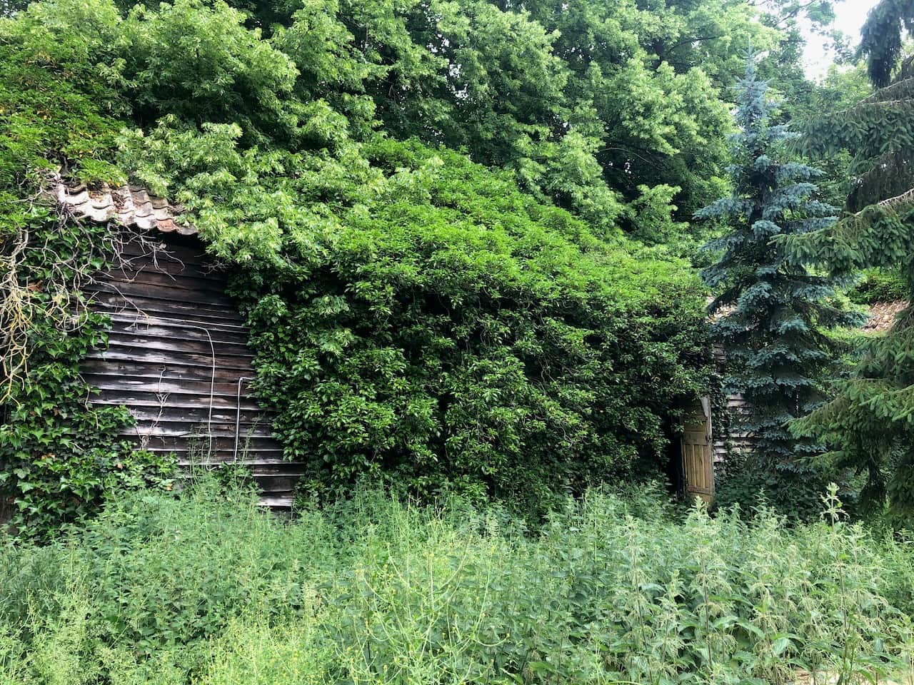 The old farm buildings before restoration
