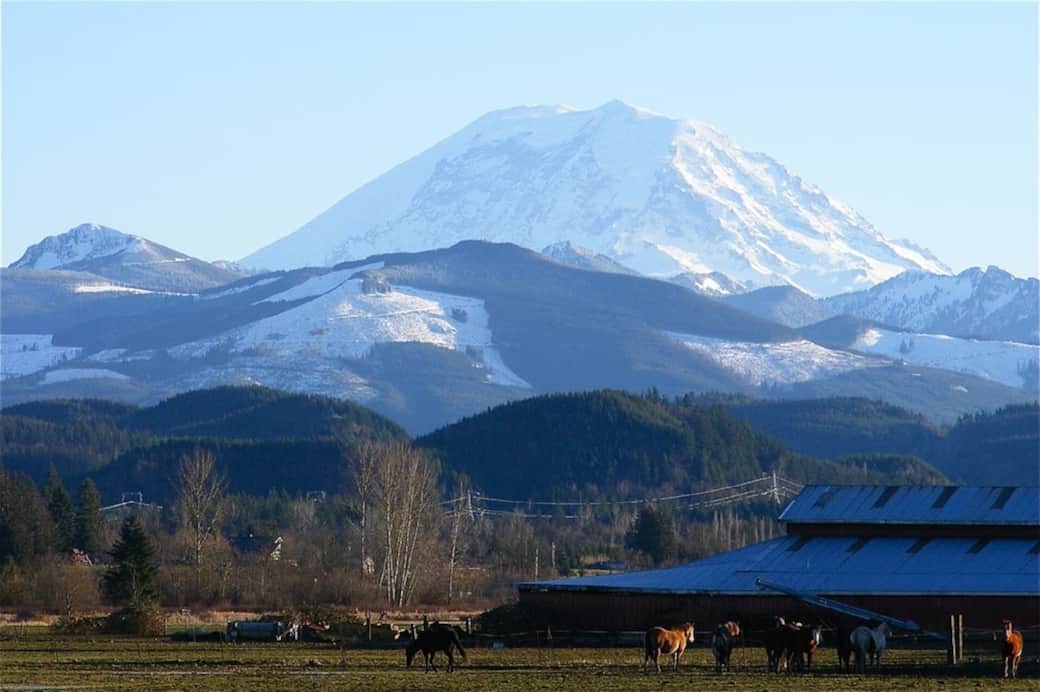 Mt Rainer and the Dairy Farm from the deck