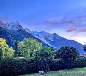 Jardin 1