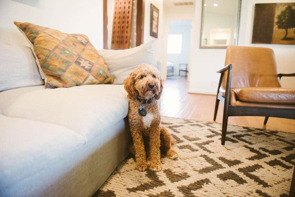 Pet Friendly (small fee applies) Pet Friendly (small fee applies)
