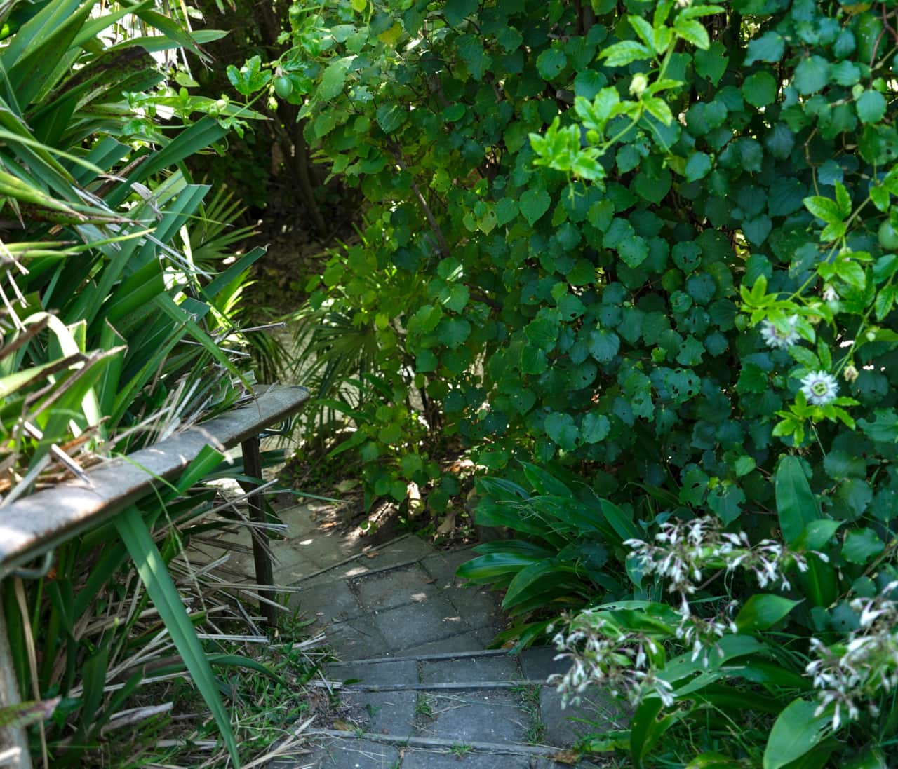 Take the steps to the upper garden