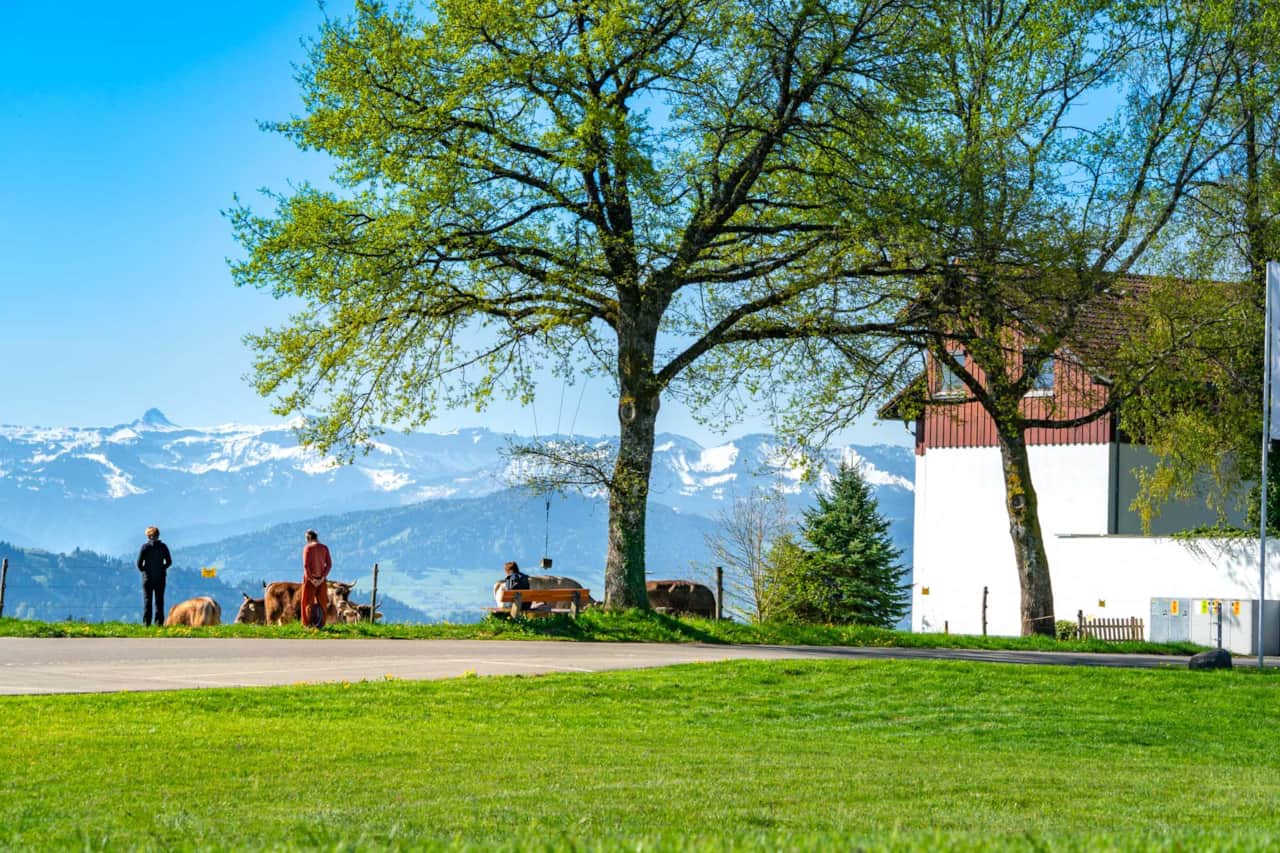 Herzlich willkommen in der Ferienwohnung BergLiebe