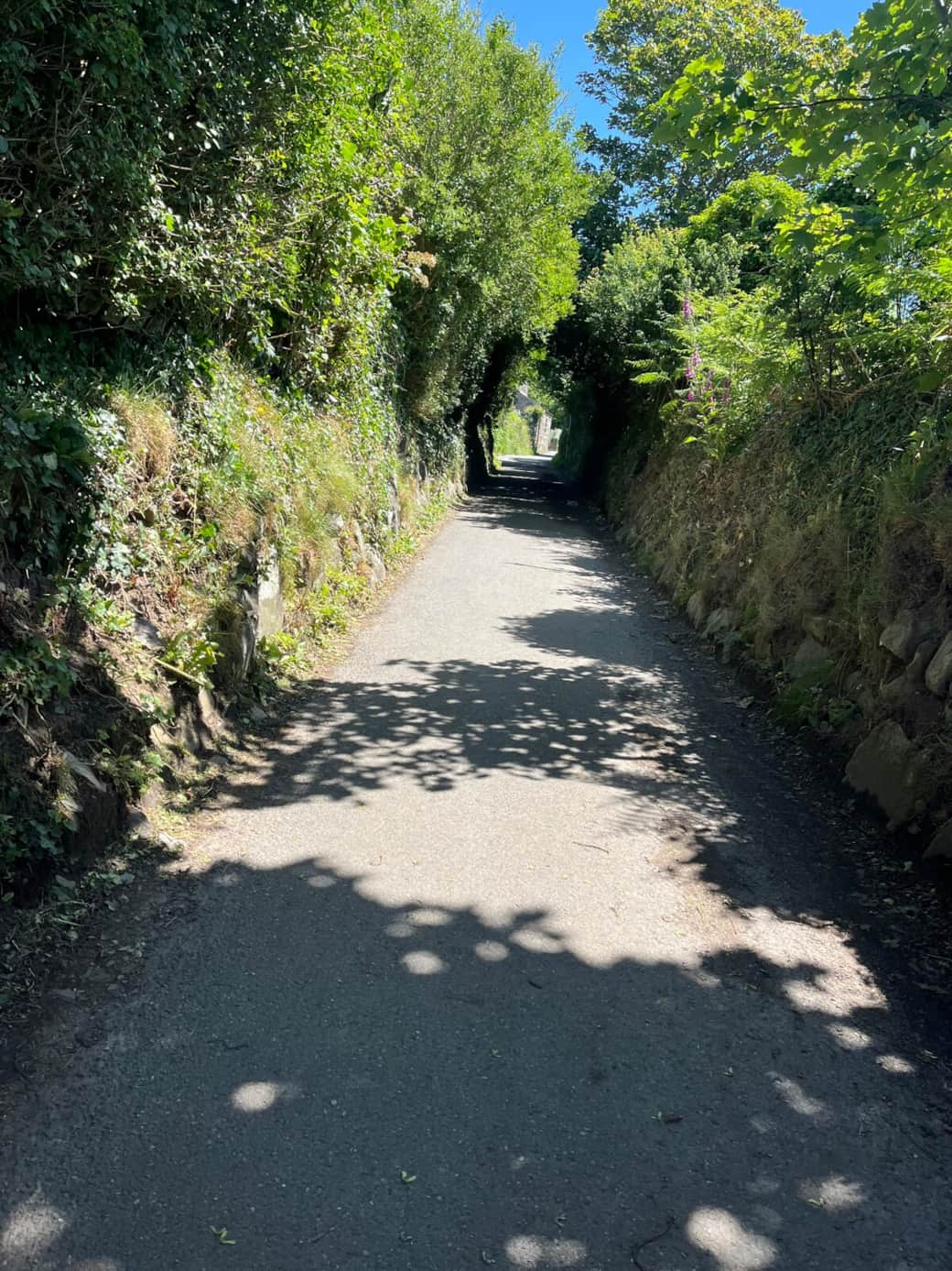 Single track lane to property from main road