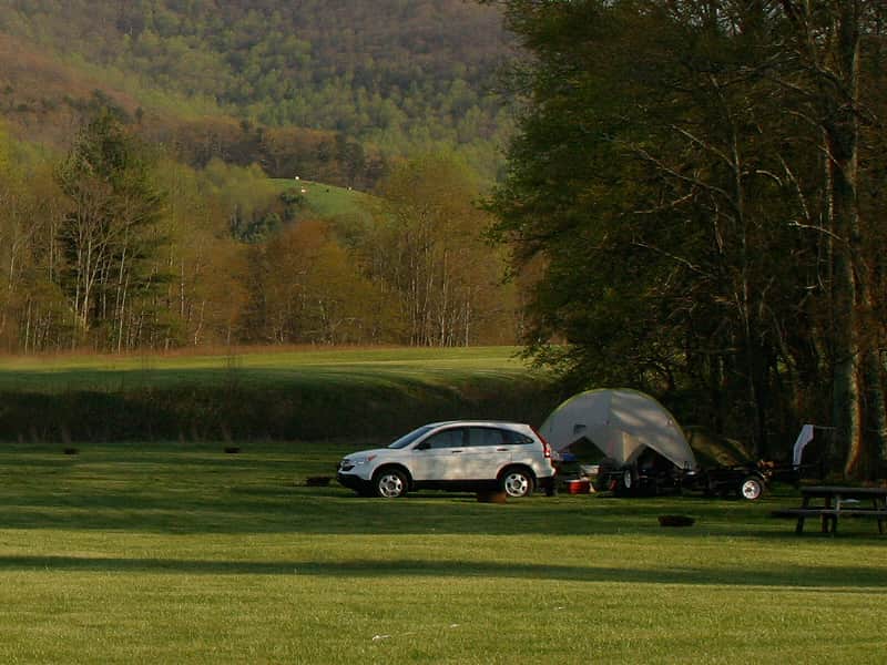 Choose your own tent space