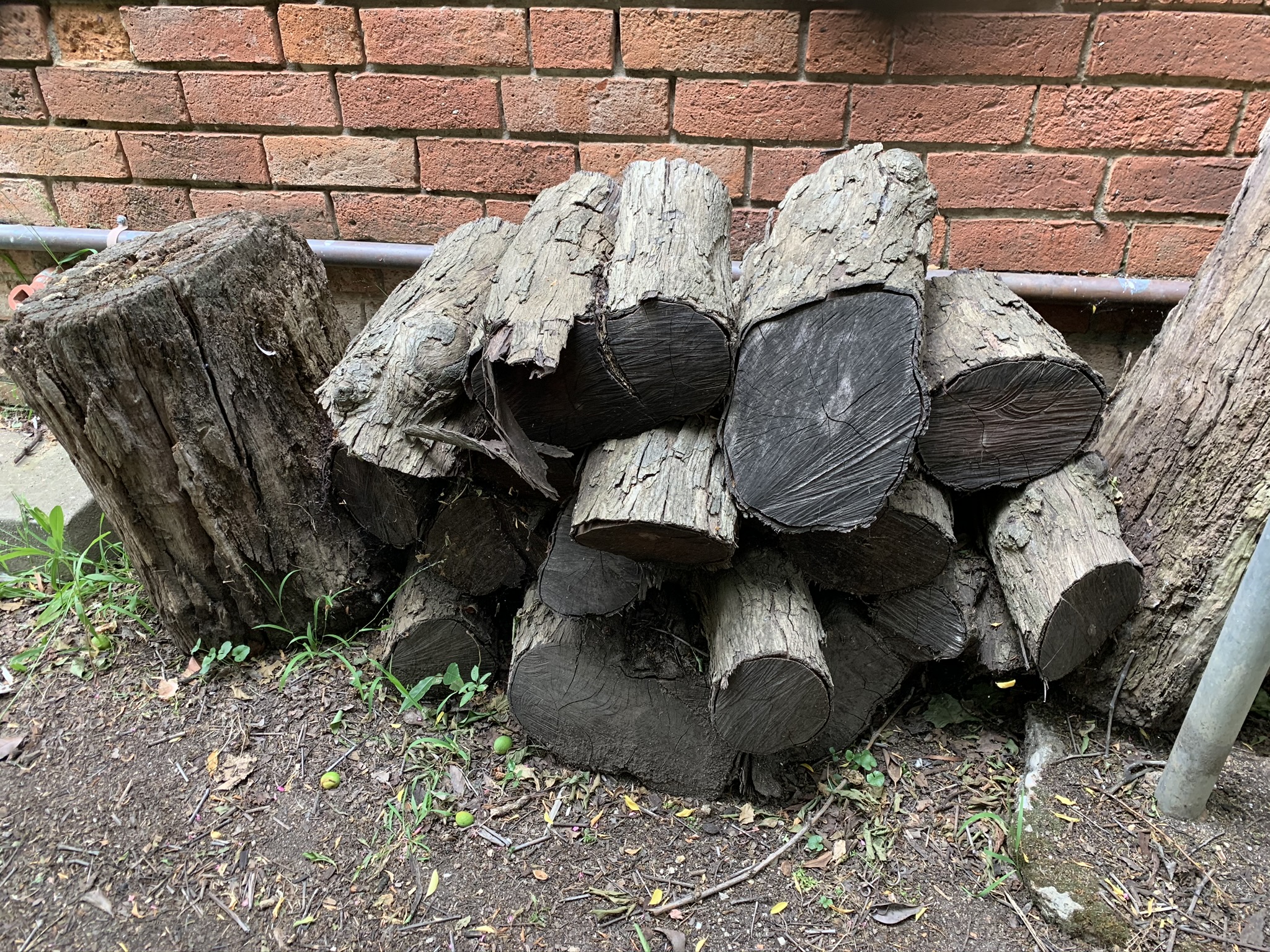 Logs of wood