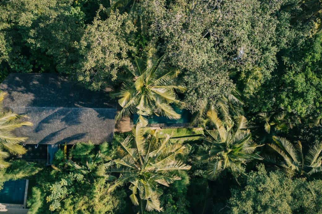 The sound of birds and flowing water — your Ubud soundtrack