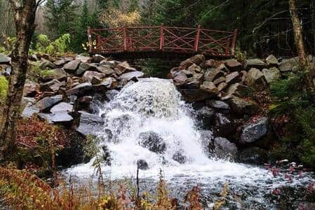 Chute