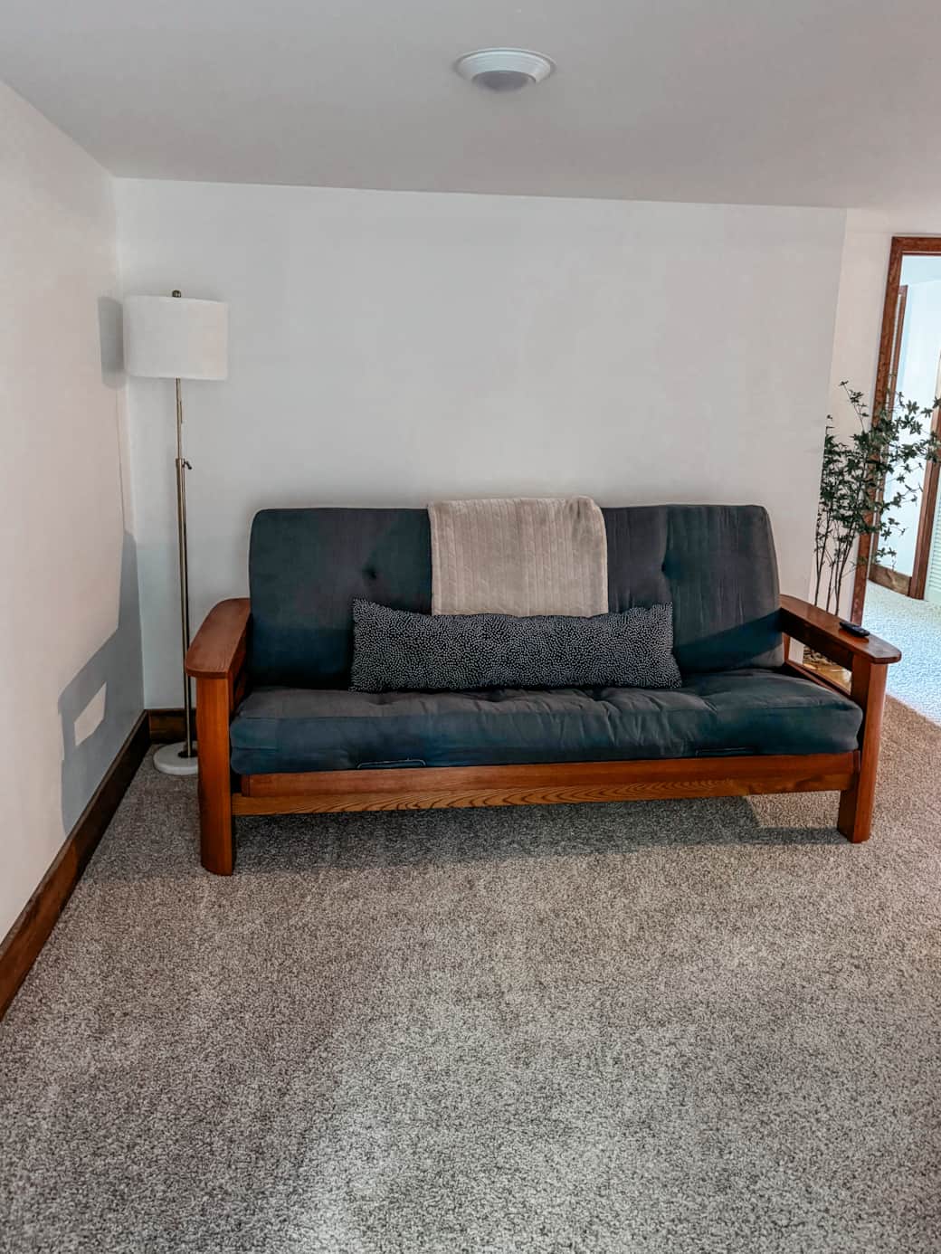 Lower level den, fold out futon
